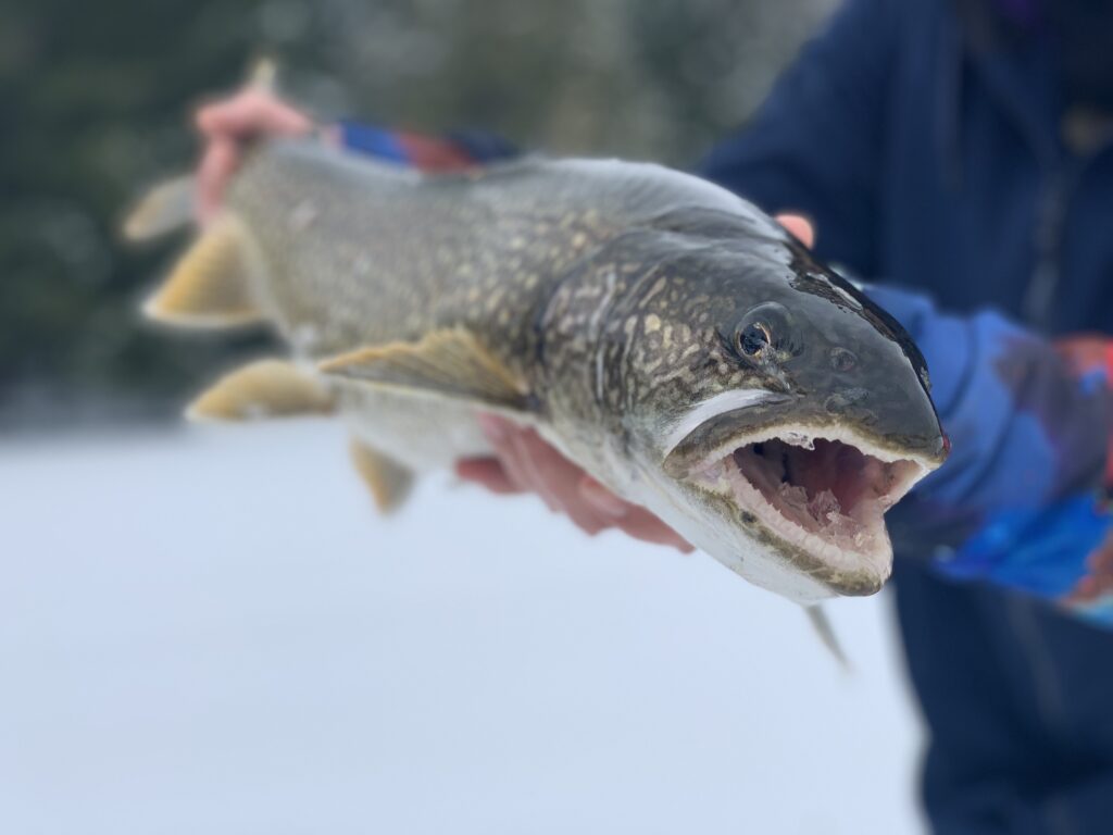 Ice Fishing In the Adirondacks